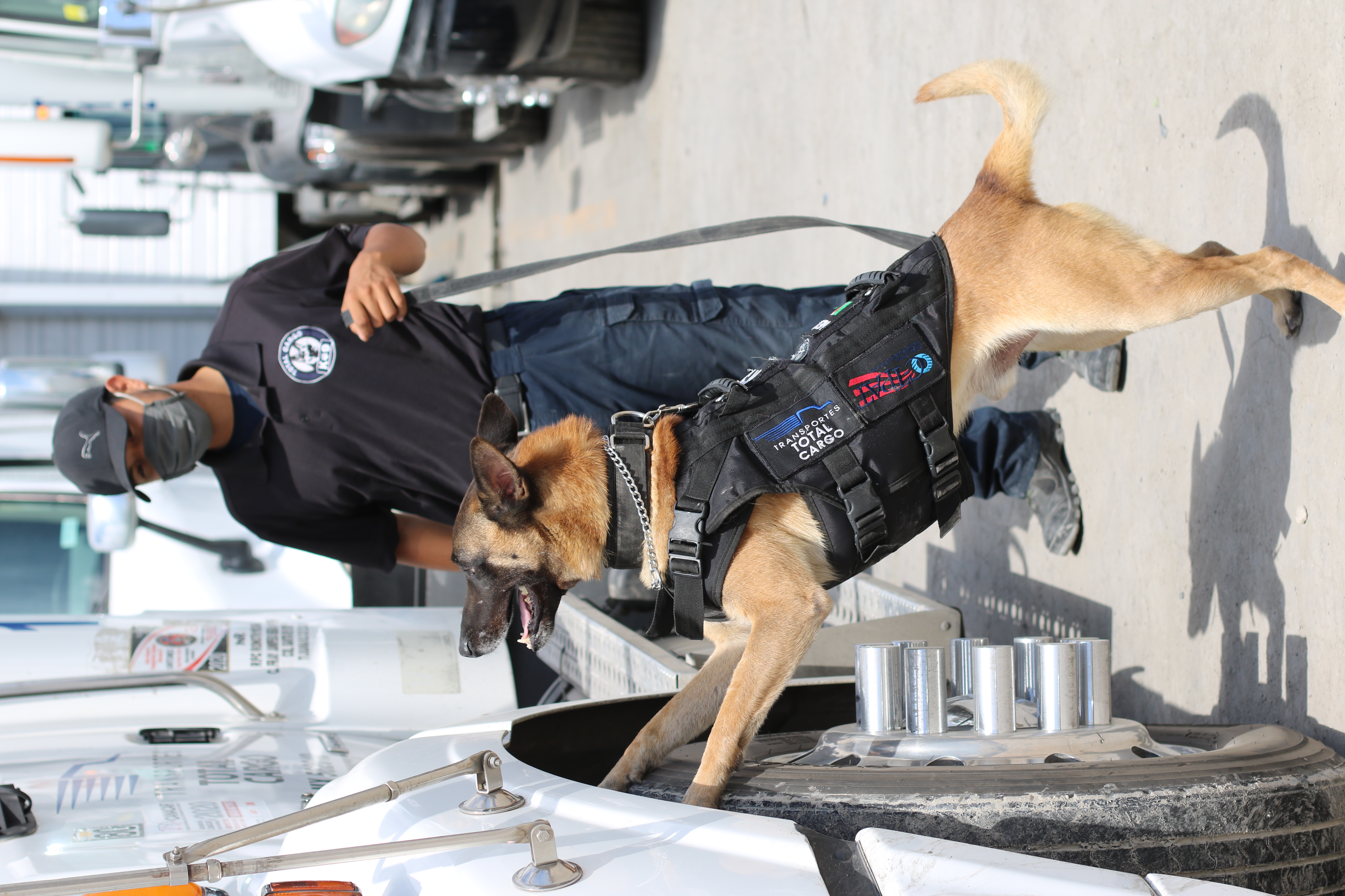 Especialización Empresas